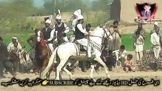 #hoers#riding in#jhamra#darbarkala#shah 7