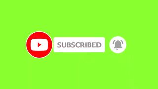 Best Funny Animal Videos Funniest Dogs And Cats Videos