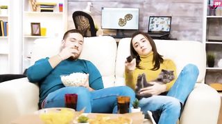 Comment les chats choisissent leur Personne Préférée _ Incroyablement Top