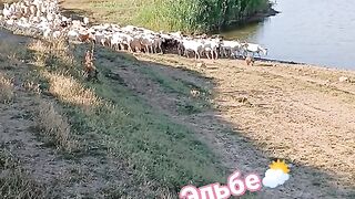 ТВЪРДИЦА 4