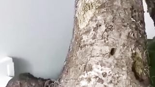Amazing video |Respect|amazing skill
