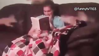 Funny cats 65