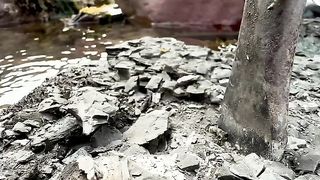 'X' Marks the Fossil ????