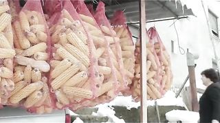 СТОЛЕТНИЦИТЕ  НА  БЪЛГАРИЯ 2