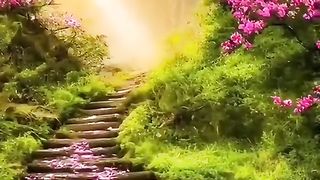 Pin_by_????_Nadine_????????_on_Fleurs_&_Natured