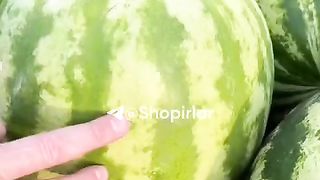 KАK  ДА  ИЗБЕРЕМ ДИНЯ ?