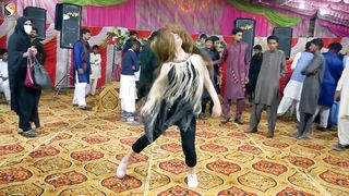 Tharki Purana Mujhe Lagta Hai Tu, Hani Sheikh Latest Dance Performance 2023.