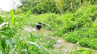 Set a simple fish trap in the river