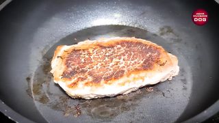 ASMR MUKBANG DOG EATING STEAK 먹방 ????2