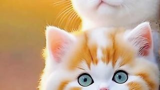 kucing lucu 7