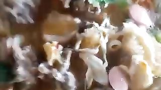 Masakan SEBLAK Indonesia