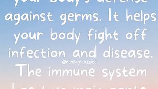 What does immune systems do?