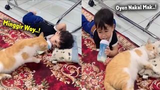 Lucu banget!!! Bocil nangis lapor emak, gara gara bantal di rebut si kucing oren kucing lucuu