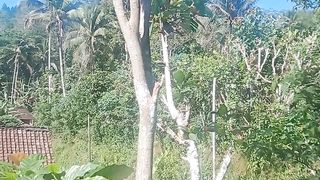 Masyarakat pegunungan