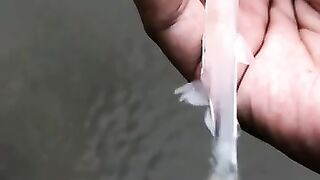 Transparant Fish | Natural Creater | Allah is the Great|