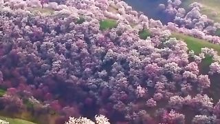 beautiful china | nature beauty ????????
