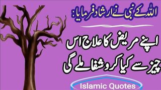 quotes in urdu english your chang life | umarg tv