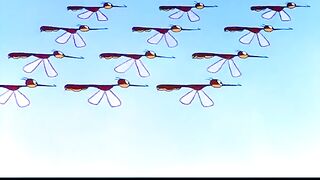 How do mosquitoes get trained