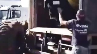 Respect videos and shorts