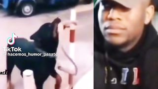 Mais es mort