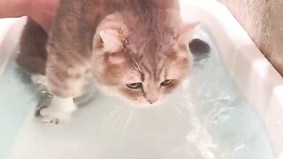 Приколи 253