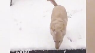 Приколи 254