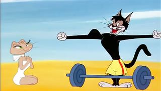 Tom & Jerry Cartoon