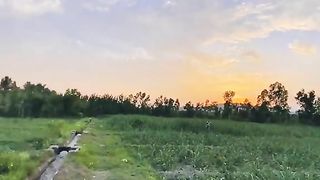 Village ???? 2