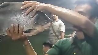Big Fish 3