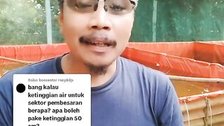 Bedanya kolam full TANAH dengan kolam tanah dindingnya BETON❓
