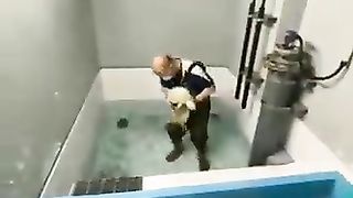 Baby seal in the water for the first time