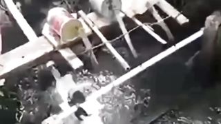 Music from the stream