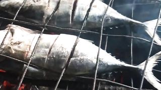 grilled fish video part 1