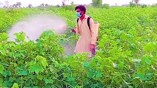 Working in feed