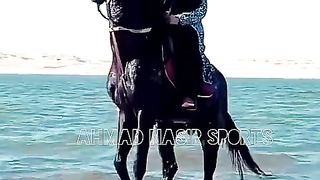 #best#of#world#black#horse#best#momint#with#girl
