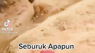 Teman sejati saling menjaga