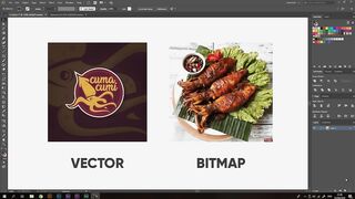 Introduction to Adobe Illustrator and What is Adobe Illustrator