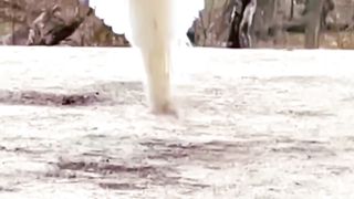 Most Beautiful Birds 01 | #birds#febspot #nature#relaxing