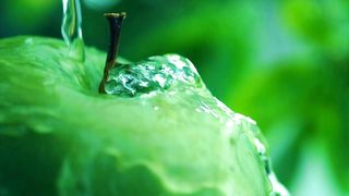 Beautiful Life | Beautiful Relaxing Video | Macro World | #nature#relaxation#febspot