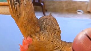 Amazing video ???????? 2