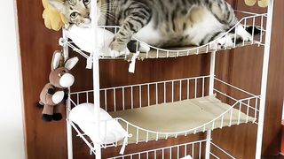 Sleeping on my upper bunk brother