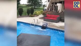 TRY NOT TO LAUGH WATCHING FUNNY FAILS VIDEOS 2022#247