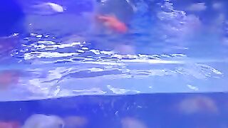 ???? Beautiful Fish ????????