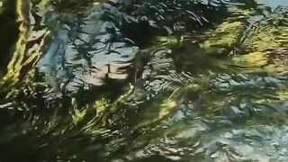 wave... (write, what would you call this video?)