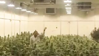 a smokers paradise (write, what would you call this video?)