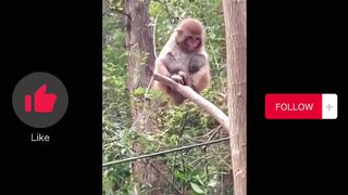 Funny video 2022 ????????????