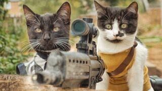 Cats vs Zombie