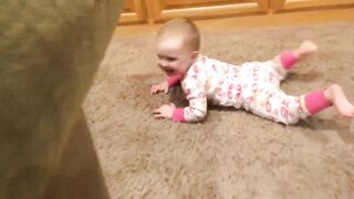 Cute Dogs and Adorable babies _Complication