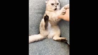 Funniest video part 5
