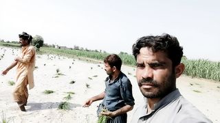 Me in fields